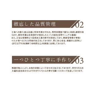 ふるさと納税 北見市 プレシカ ドッグフード ...の詳細画像2