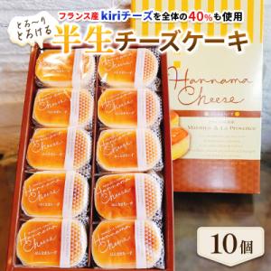 とろ～りとろける半生チーズケーキ　10個
