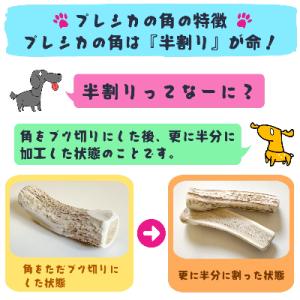ふるさと納税 北見市 プレシカ 小型・中型犬用...の詳細画像1