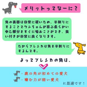 ふるさと納税 北見市 プレシカ 小型・中型犬用...の詳細画像2