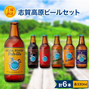 ふるさと納税 長野県 志賀高原ビール330ml 6本 工場直送セット