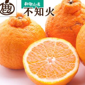 ふるさと納税 日高町 ＜2月より発送＞厳選 不知火2kg+60g(傷み補償分)