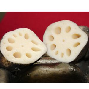 ふるさと納税 佐賀市 うんっま!佐賀れんこん　2kg