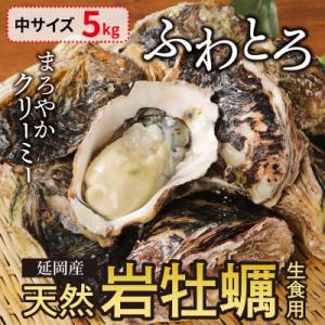 ふるさと納税 延岡市 延岡産天然岩牡蠣(生食用)5kg(中)