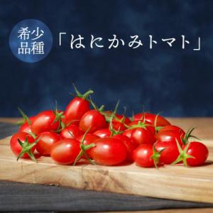 ふるさと納税 真岡市 高糖度!希少品種フルーツトマト
