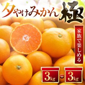 【迷ったらこれ!】甘みが濃縮　夕やけみかん【極】3kg×2箱　愛媛県産【D49-9】