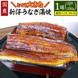皮まで柔らか、とても大きな国産新仔うなぎ蒲焼(220～250グラム)1尾