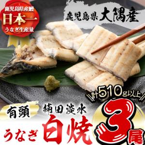 b2-012 楠田の極うなぎ 白焼き 170g以上×3尾(計510g以上)