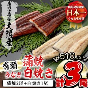 b2-011 楠田の極うなぎ 蒲焼き2尾・白焼き1尾 170g以上×3尾(計510g以上)