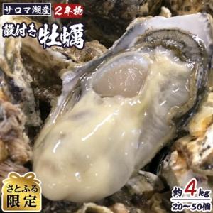 ふるさと納税 佐呂間町 【さとふる限定】【先行受付】サロマ湖産殻付き2年物牡蠣 　約4kg(20〜5...