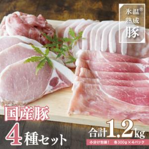 ふるさと納税 泉佐野市 国産 豚肉 4種セット 1.2kg 小分け