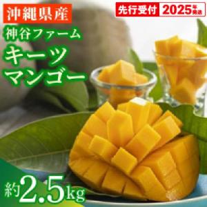 ふるさと納税 八重瀬町 【マンゴー農園直送!】2025年夏!神谷ファームのキーツマンゴー 約2.5kg