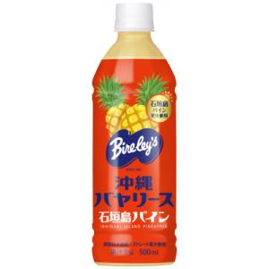 ふるさと納税 石垣市 沖縄バヤリース　石垣島パイン　PET500ml　24本入り