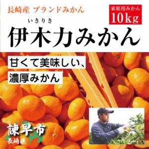【先行予約】《伊木力みかん》家庭用みかん(10kg)