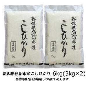 ふるさと納税 魚沼市 【令和7年産】農産物検査員...の商品画像