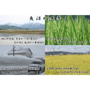 ふるさと納税 魚沼市 【令和7年産】農産物検査...の詳細画像2