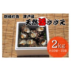 隠岐の島津戸産天然活さざえ2kg　1401