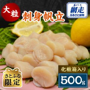 ふるさと納税 網走市 【さとふる限定】大粒刺身帆立　500g　化粧箱入り