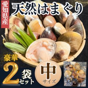 【愛知県産】天然 はまぐり 中サイズ 殻付きボイル冷凍 500g×2袋〈加熱調理・真空パック〉蛤