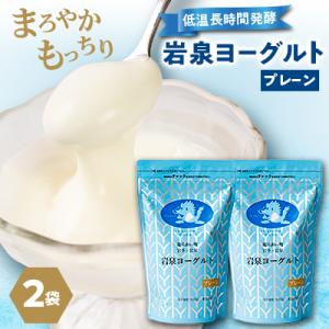 ふるさと納税 岩泉町 岩泉ヨーグルト2袋セット(プレーン1kg×2袋)