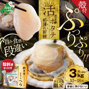 ふるさと納税 別海町 【さとふる限定】活ホタテ貝 殻付き中サイズ 3kg前後 朝どれ新鮮出荷 　ほた...