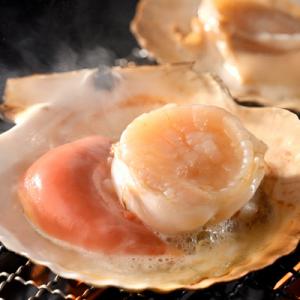 ふるさと納税 別海町 【さとふる限定】活ホタテ...の詳細画像3