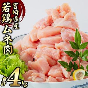 ふるさと納税 宮崎市 宮崎県産若鶏 むね肉 4kg(250g×16パック)※小分け・カット済・真空冷凍｜さとふる