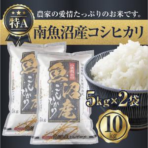 ふるさと納税 南魚沼市 新潟県 南魚沼産 コシヒカリ お米 5kg×2袋10kg 精米済み(お米の美...