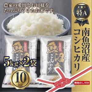 ふるさと納税 南魚沼市 【無地のし】南魚沼産 コ...の商品画像