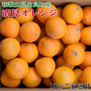 ふるさと納税 那智勝浦町 【訳あり・ご家庭用】和歌山由良町産の濃厚清見オレンジ約10kg｜さとふる