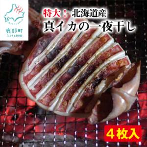 ふるさと納税 鹿部町 北海道産真イカの一夜干し 4枚入