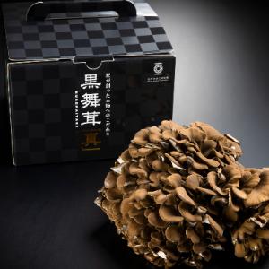 ふるさと納税 南魚沼市 大平きのこ研究所の大黒舞茸「真」【贈答用】700g