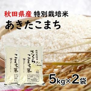 ふるさと納税 大仙市 令和4年産　あきたこまち「特別栽培米さくらこまち　精米10kg」中仙さくらファーム