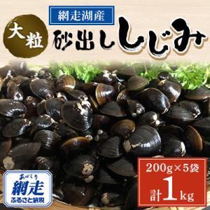 網走湖産 大粒砂出ししじみ 200g×5袋セット