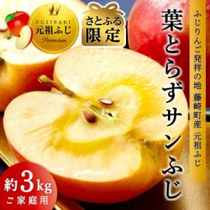 【さとふる限定】葉とらずサンふじ 約3kg ご家庭用りんご(訳あり) 青森県産リンゴ 青森林檎