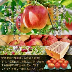 ふるさと納税 藤崎町 【さとふる限定】葉とらず...の詳細画像3