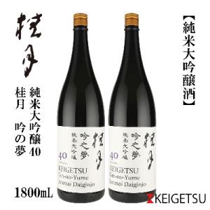 ふるさと納税 高知市 桂月　吟之夢　純米大吟醸40　1800mL　2本　【AX223】