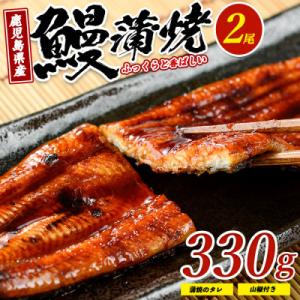 鹿児島県産 鰻の蒲焼(無頭背開き)約165g×2尾 IB022-001