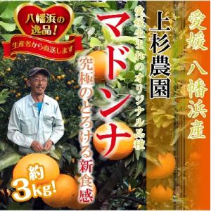 ギフト対応化粧箱入・上杉農園のぷるぷる新食感!「マドンナ」約3kg【D39-16】