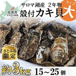 ふるさと納税 北見市 【さとふる限定】サロマ湖産殻付き2年牡蠣　大　約3kg(約15個〜25個)