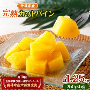 ふるさと納税 石垣市 當銘さんの完熟カットパイン1.25kg(250g×5袋)