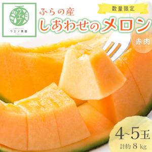 ふるさと納税 富良野市 【先行受付】ふらの産　しあわせのメロン(赤肉×4〜5玉 計約8kg)｜y-sf