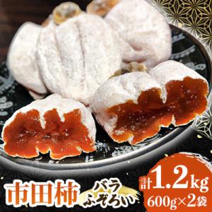 南信州の名産品【市田柿】計1.2kg(600g×2袋) バラふぞろい
