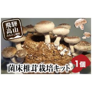 菌床椎茸栽培キット1個 a690
