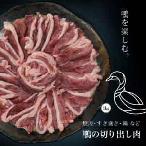 ふるさと納税 新庄市 農家直結 山形育ちの美味しい鴨を手軽に楽しむ 最上鴨切り出し肉