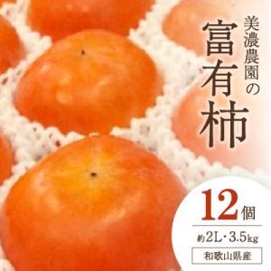 ふるさと納税 橋本市 和歌山県産　美濃農園の富有柿　12個(2Lサイズ程度)