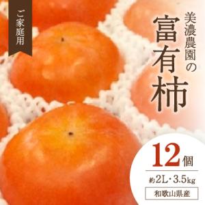 ふるさと納税 橋本市 和歌山県産　美濃農園の富有柿　ご家庭用　12個(2Lサイズ程度)