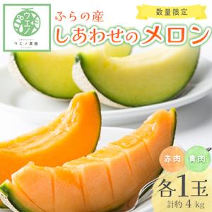 【先行受付　2026年発送】ふらの産　しあわせのメロン(赤肉1玉・青肉1玉 計約4kg)