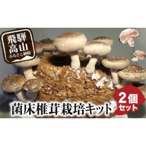 菌床椎茸栽培キット2個入り a691