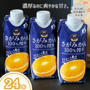 さがみかん100%搾り 24本(佐賀市)